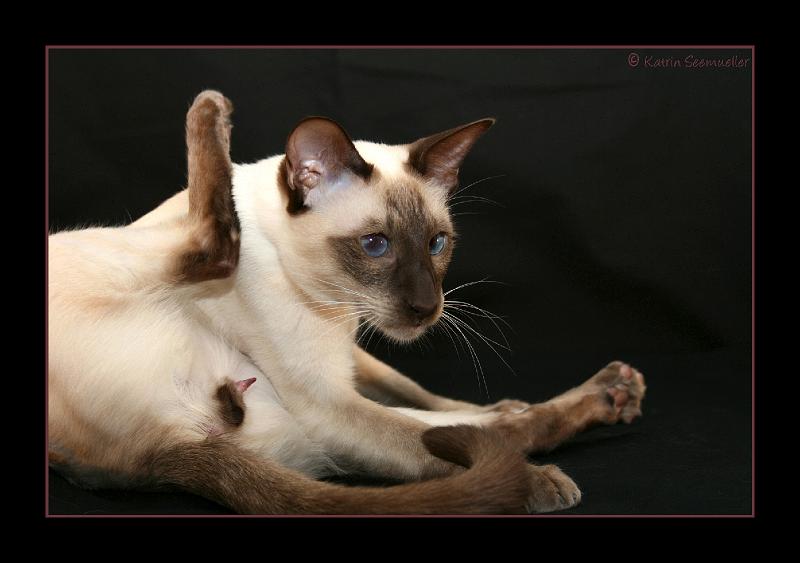 Daki 7.jpg